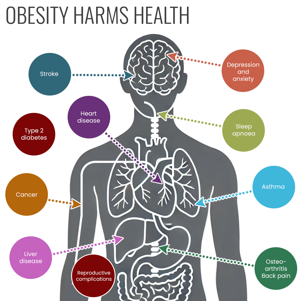 Adult obesity: applying All Our Health | GOV.UK
